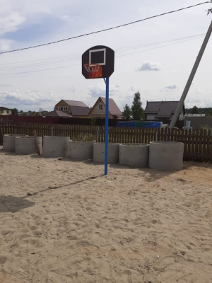 Баскетбольный щит СИО 3510 в Томске